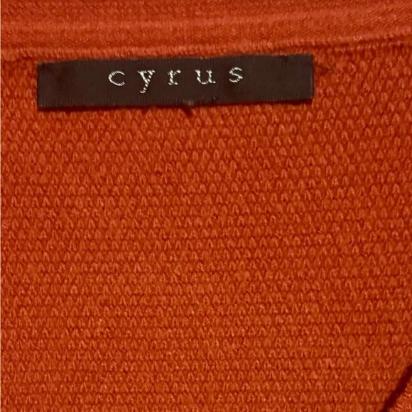 Cyrus V-Neck Sweater in Burnt Orange - Picture 2 of 4